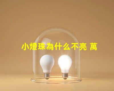 小燈珠為什么不亮 萬用表為什么點(diǎn)不亮燈珠